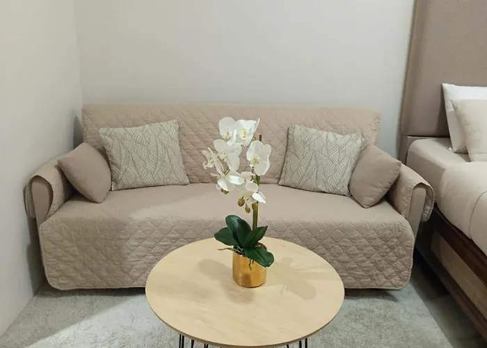 Apartment Anaiah's With Balcony Near It Park - Pool & Gym Fun *